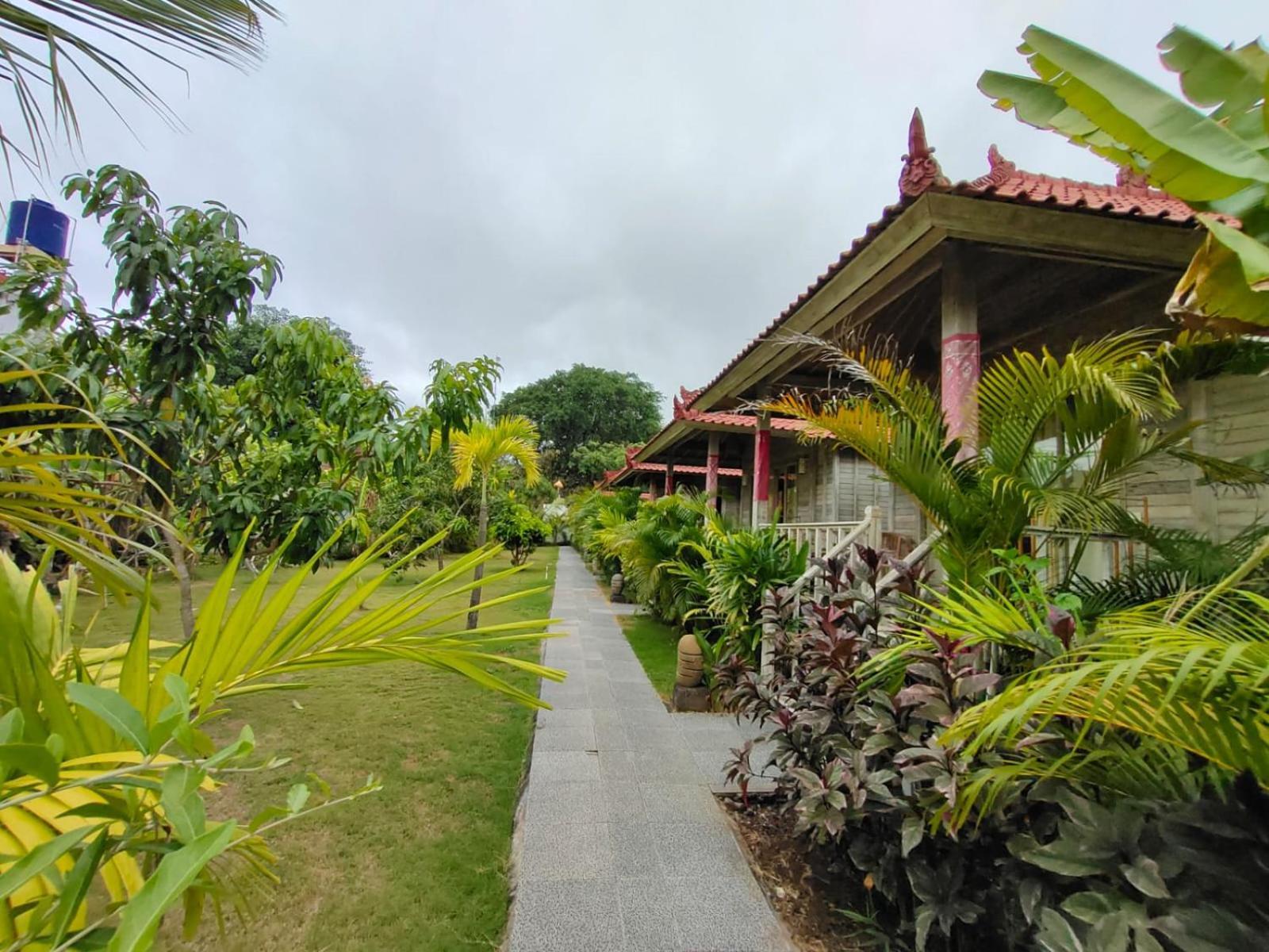 The Canda Mushroom Beach Lembongan מראה חיצוני תמונה